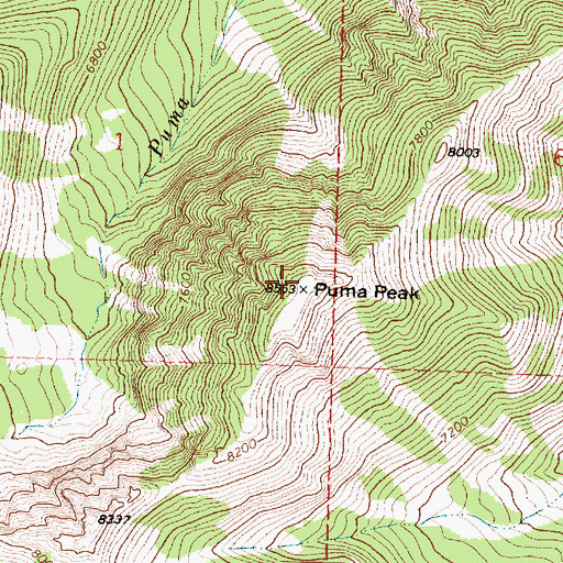 Topographic Map of Puma Peak, MT