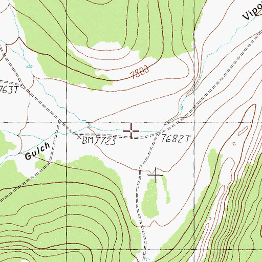 Topographic Map of Queens Gulch, MT