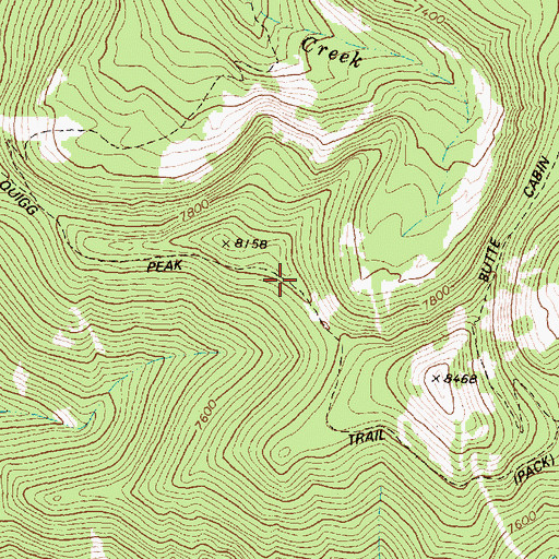 Topographic Map of Quigg Peak Trail, MT