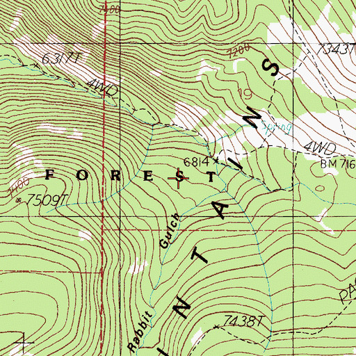 Topographic Map of Rabbit Gulch, MT