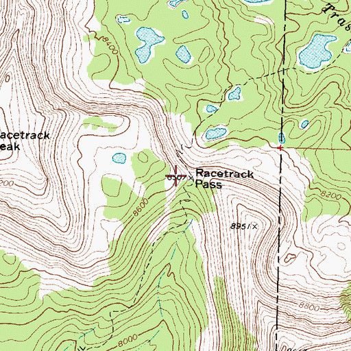 Topographic Map of Racetrack Pass, MT