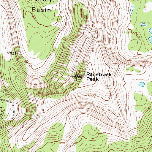 Topographic Map of Racetrack Peak, MT