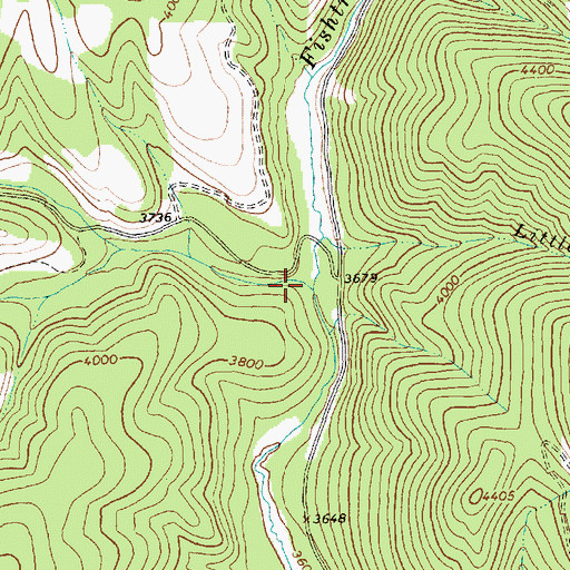 Topographic Map of Radio Creek, MT