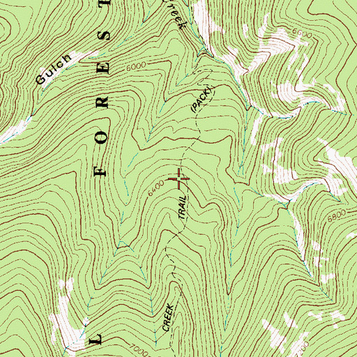 Topographic Map of Ranch Creek Trail, MT