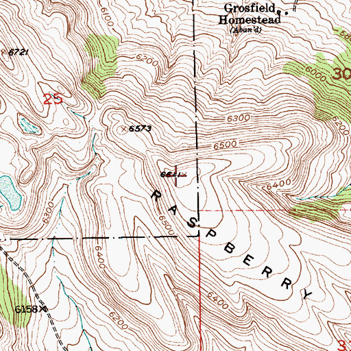 Topographic Map of Raspberry Butte, MT