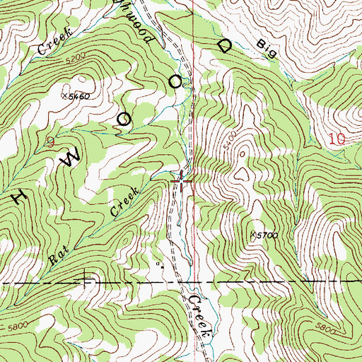 Topographic Map of Rat Creek, MT