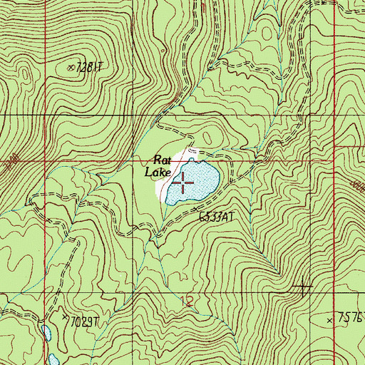 Topographic Map of Rat Lake, MT