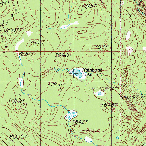 Topographic Map of Rathbone Lake, MT