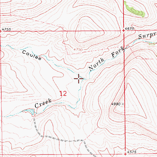Topographic Map of Rattlesnake Coulee, MT