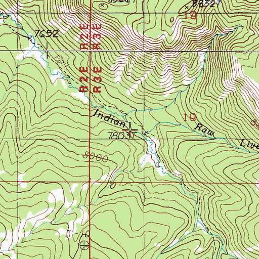 Topographic Map of Raw Liver Creek, MT