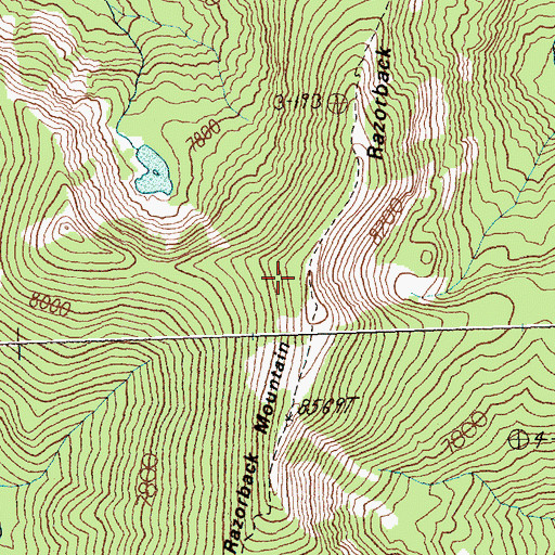 Topographic Map of Razorback Mountain, MT