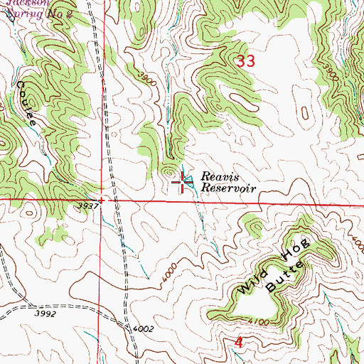 Topographic Map of Reavis Reservoir, MT