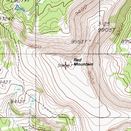 Topographic Map of Red Mountain, MT