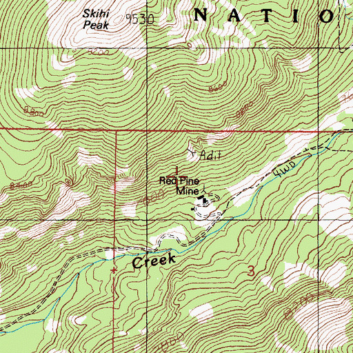 Topographic Map of Red Pine Mine, MT