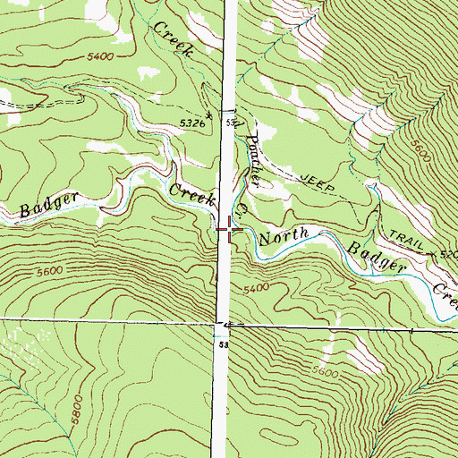 Topographic Map of Red Poacher Creek, MT