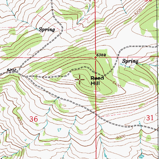 Topographic Map of Reed Hill, MT