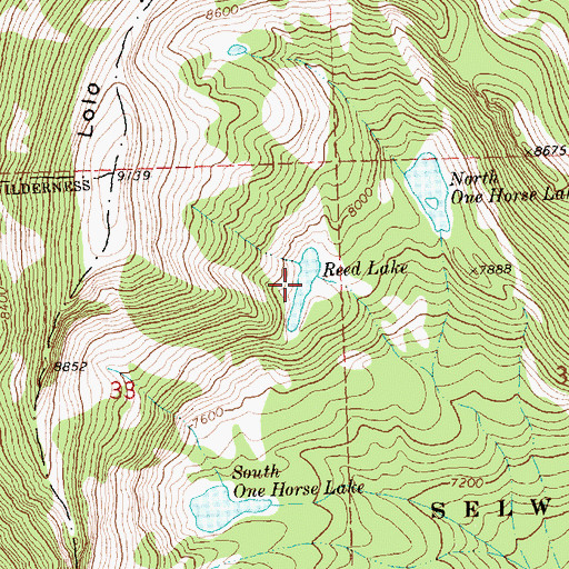 Topographic Map of Reed Lake, MT