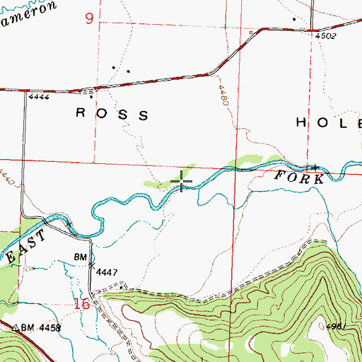 Topographic Map of Reimel Creek, MT
