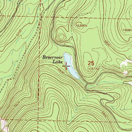Topographic Map of Reservoir Lake, MT