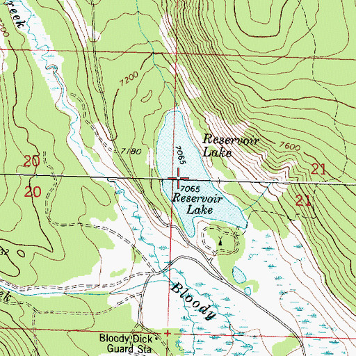 Topographic Map of Reservoir Lake, MT