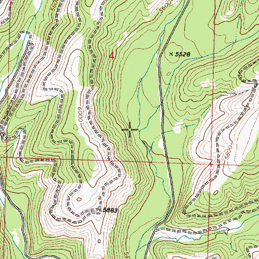 Topographic Map of Reynolds Creek, MT