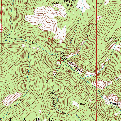 Topographic Map of Reynolds Creek, MT