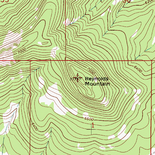 Topographic Map of Reynolds Mountain, MT