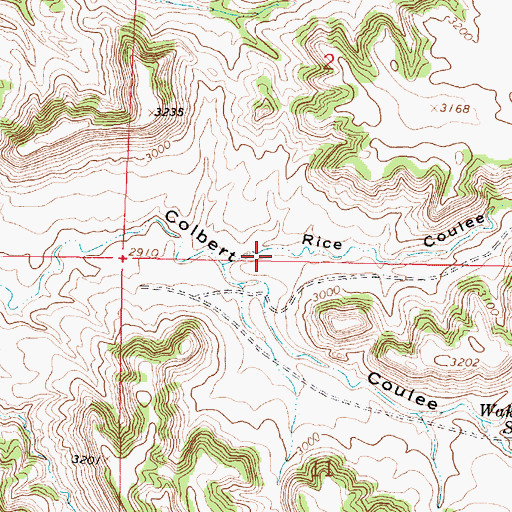 Topographic Map of Rice Coulee, MT