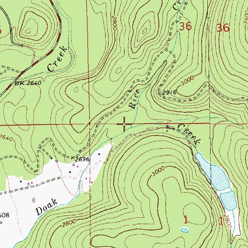 Topographic Map of Rice Creek, MT