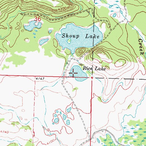 Topographic Map of Rice Lake, MT