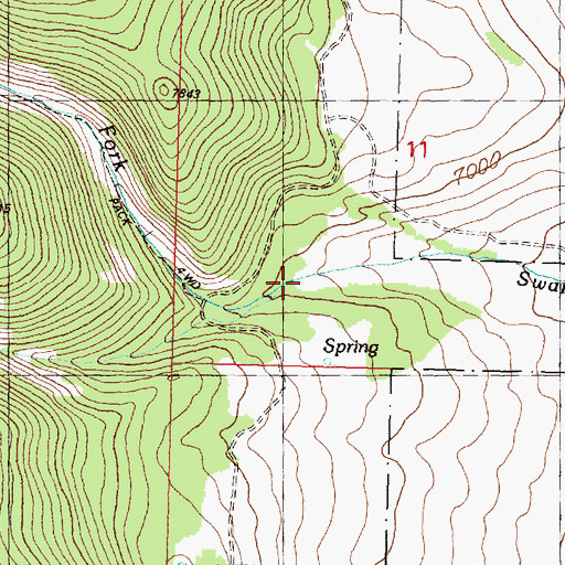 Topographic Map of Right Fork Swamp Creek, MT
