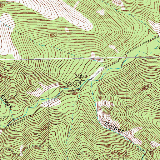 Topographic Map of Ripper Creek, MT