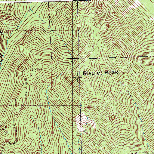 Topographic Map of Rivulet Peak, MT
