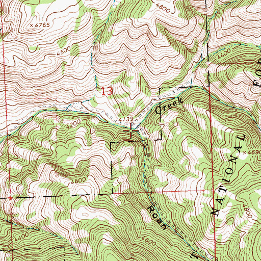 Topographic Map of Roan Gulch, MT