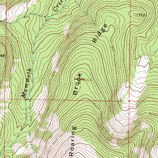 Topographic Map of Roaring Brook Ridge, MT