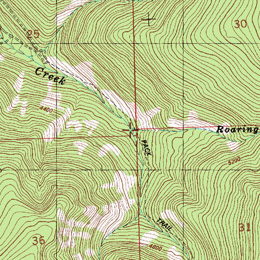 Topographic Map of Roaring Fork Seepay Creek, MT