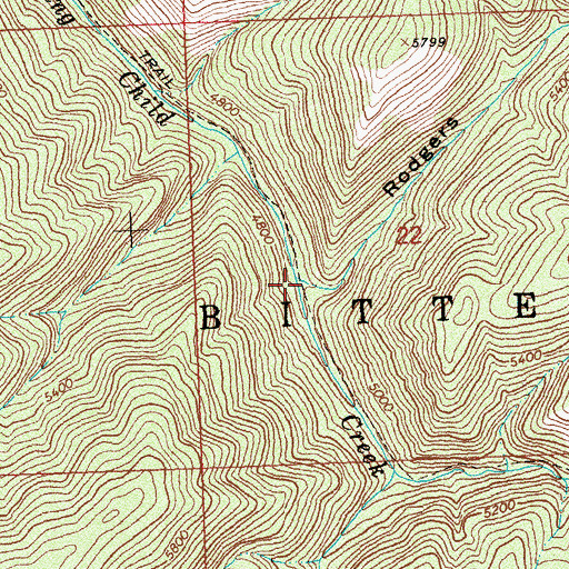 Topographic Map of Rodgers Gulch, MT
