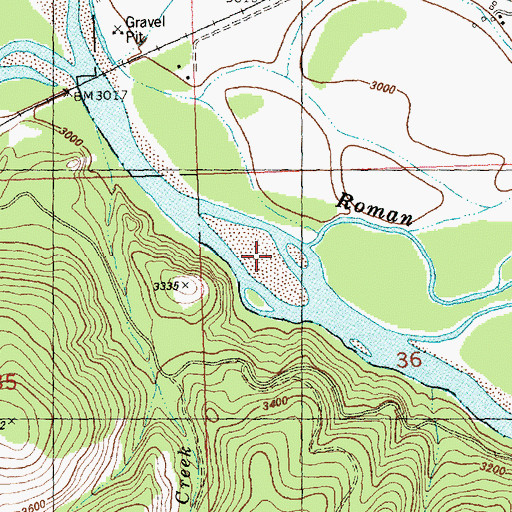 Topographic Map of Roman Creek, MT