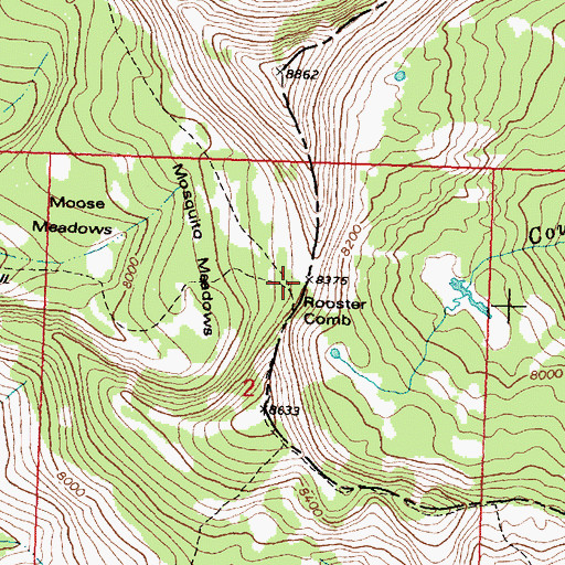 Topographic Map of Rooster Comb, MT