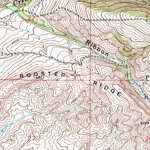 Topographic Map of Rooster Ridge, MT