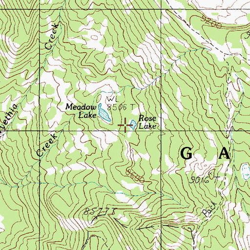 Topographic Map of Rose Lake, MT