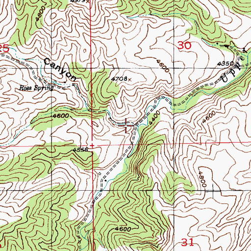 Topographic Map of Ross Canyon, MT