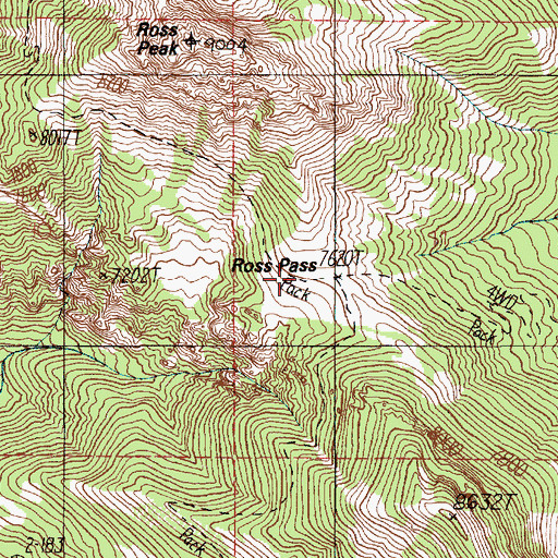 Topographic Map of Ross Pass, MT
