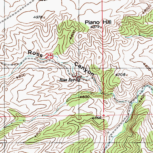 Topographic Map of Ross Spring, MT
