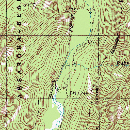 Topographic Map of Ruby Creek, MT
