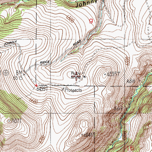 Topographic Map of Ruby Mine, MT