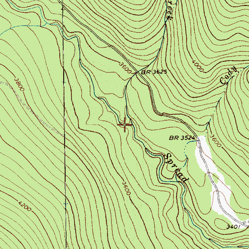 Topographic Map of Runt Creek, MT