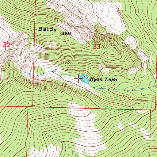 Topographic Map of Ryan Lake, MT