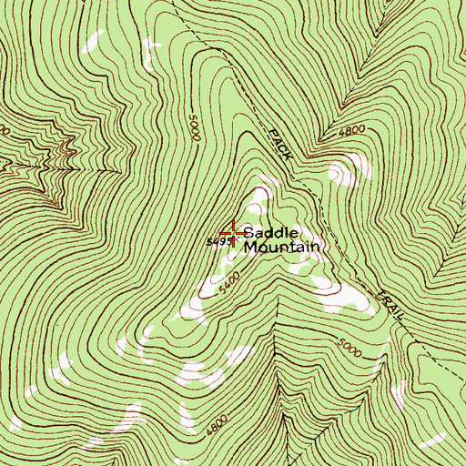 Topographic Map of Saddle Mountain, MT