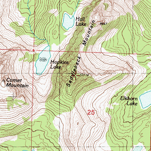 Topographic Map of Saddleback Mountain, MT